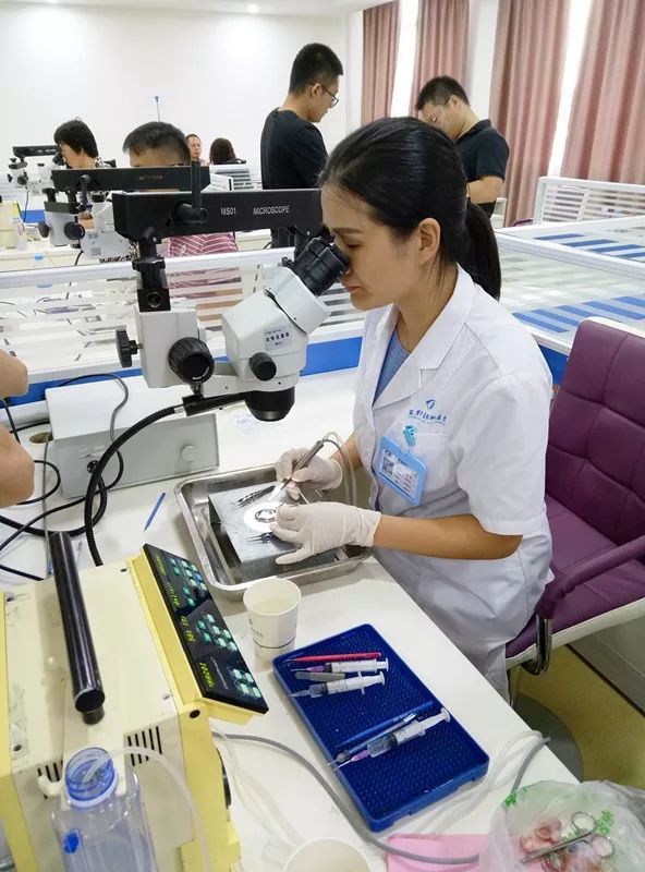 东莞8868在线官网登录平台 - 8868网页版登录向东莞残疾人福利基金会慈善援助100枚人工晶体.jpg