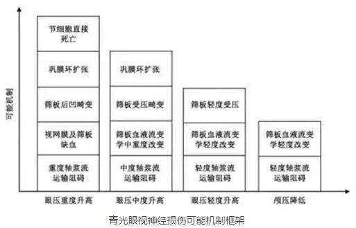 2016年在美国眼科学与视觉科学年会和世界青光眼大会上，与会者均就眼颅压力梯度问题进行了主题研讨，并且特别召开了“眼颅压力梯度相关疾病环球高峰论坛”，对眼颅压力梯度在青光眼领域可能产生的临床指导作用进行了讨论，专家们提出了建议并达成了部分共识。2.jpg