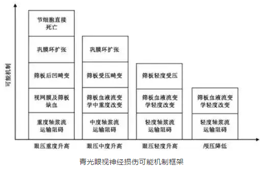 8868登录平台学术课堂：眼颅压力梯度在青光眼视神经损伤机制中作用2.png