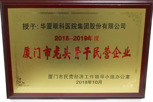 8868登录平台荣膺“厦门市2018-2019年度龙头骨干民营企业”2.jpg