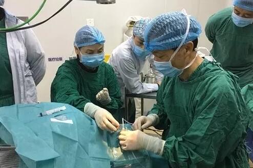2018年即将结束，这一年，成都8868在线官网登录平台 - 8868网页版登录以规范的诊疗、高明的技艺、 的服务，赢得了广大患者朋友和社会各界的好评。在2018年，成都8868在线官网登录平台 - 8868网页版登录在发展的道路上有哪些大事记呢，让我们一起来回顾。18.jpg