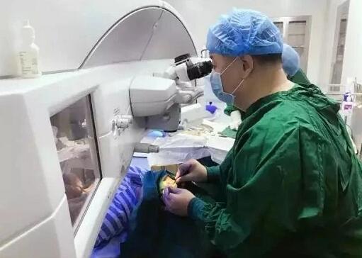 甘肃中医药大学附属兰州眼科中心主任、兰州8868在线官网登录平台 - 8868网页版登录院长燕振国教授荣获SMILE近视手术质量贡献奖！2.jpg