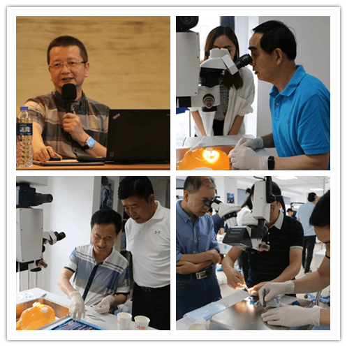8868登录平台2019年眼内屈光手术技术高峰论坛隆重举行101副本.png