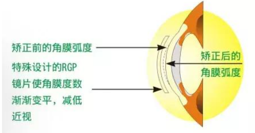 QQ截图20190725155617.png