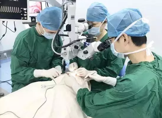 以初心致匠心——厦门眼科中心斜视与小儿眼科潘美华教授以匠心呵护患者的眼健康2.png