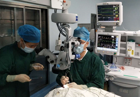 厦门眼科中心白内障专科毛祖红主任迎难而上：为痴呆老人做白内障手术1.png
